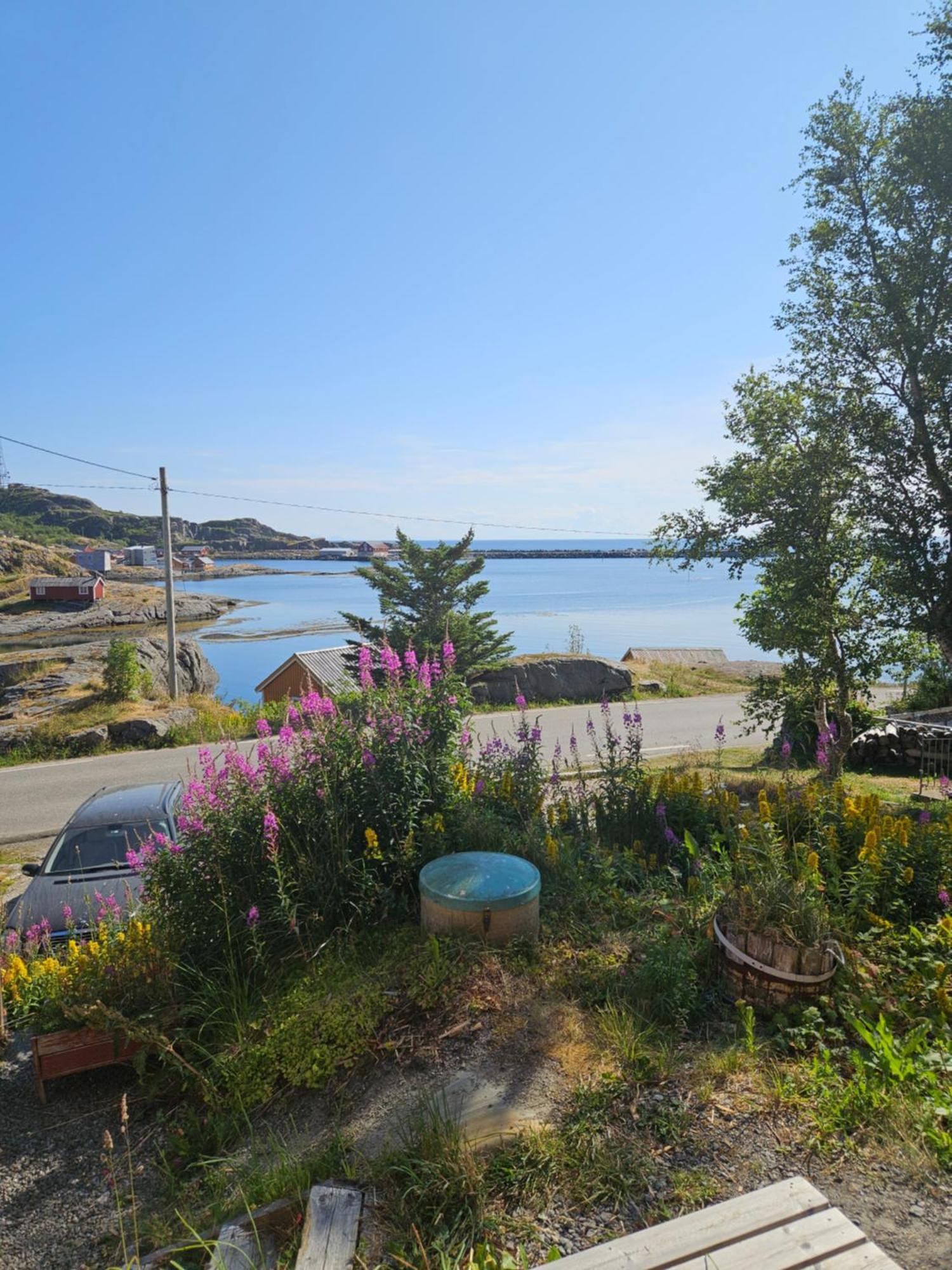 Moskenes Vacation Homes Kültér fotó